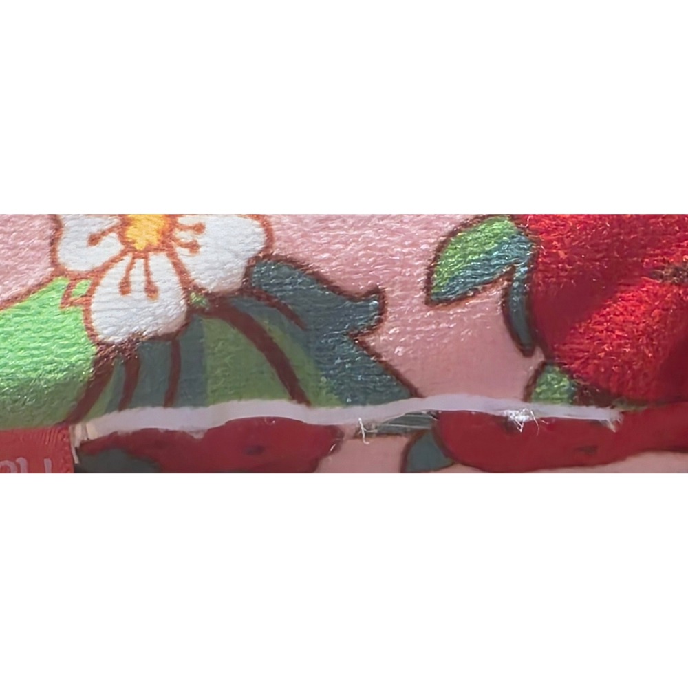 Strawberry Shortcake Plush Character Pillow Pink Red Retro 2024 Jay Franco - Picture 10 of 10